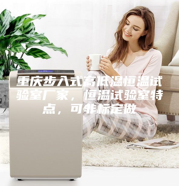 重慶步入式高低溫恒溫試驗室廠家，恒溫試驗室特點(diǎn)，可非標(biāo)定做