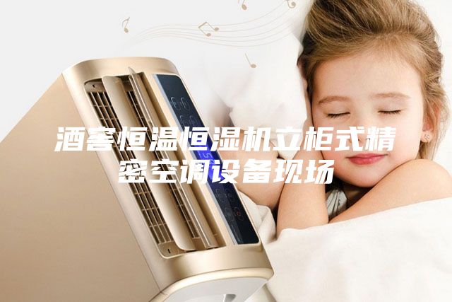 酒窖恒溫恒濕機立柜式精密空調設備現場