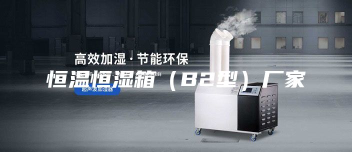 恒溫恒濕箱（B2型）廠家