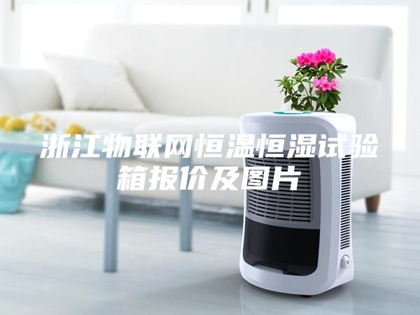浙江物聯(lián)網(wǎng)恒溫恒濕試驗箱報價及圖片