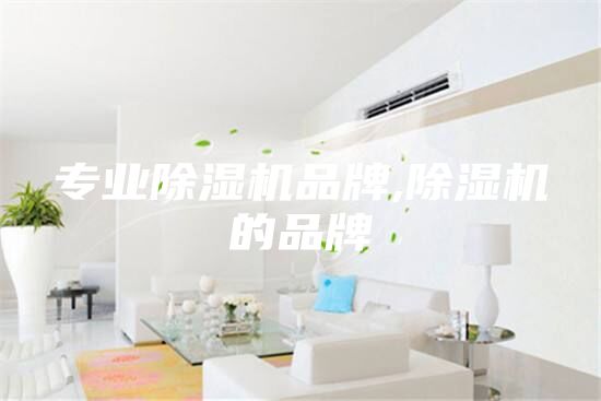 專業(yè)除濕機品牌,除濕機的品牌