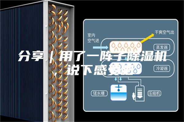 分享｜用了一陣子除濕機(jī)，說下感受吧