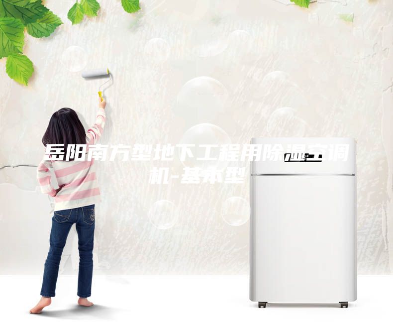 岳陽(yáng)南方型地下工程用除濕空調(diào)機(jī)-基本型