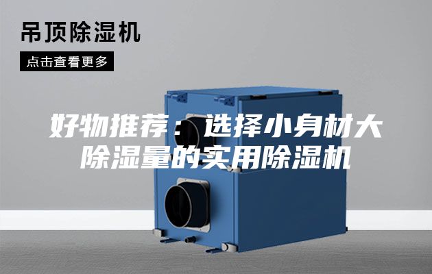 好物推薦：選擇小身材大除濕量的實用除濕機(jī)