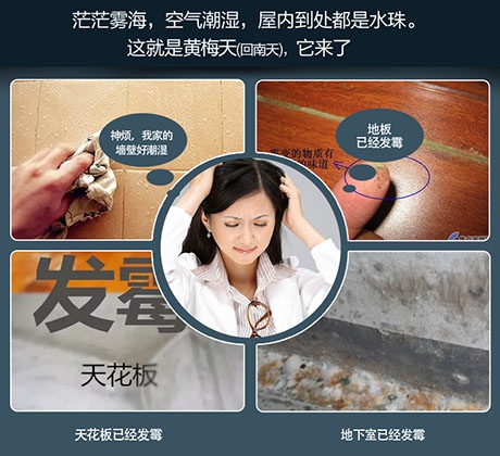 加濕器與除濕機：生活中更需要哪一個？_除濕機廠家
