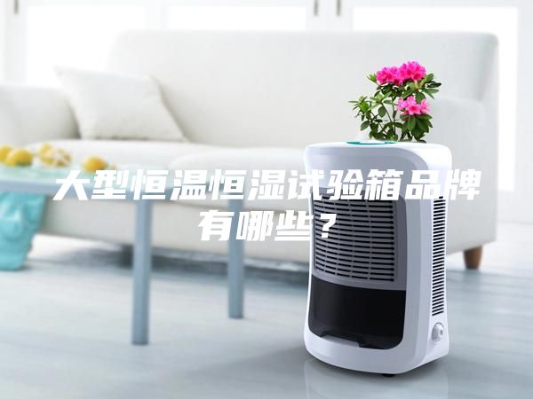 大型恒溫恒濕試驗(yàn)箱品牌有哪些？