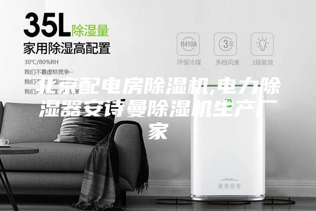 北京配電房除濕機,電力除濕器安詩曼除濕機生產廠家
