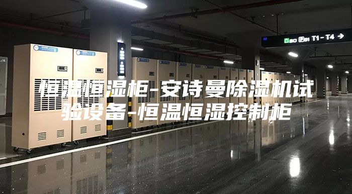 恒溫恒濕柜-安詩曼除濕機(jī)試驗(yàn)設(shè)備-恒溫恒濕控制柜