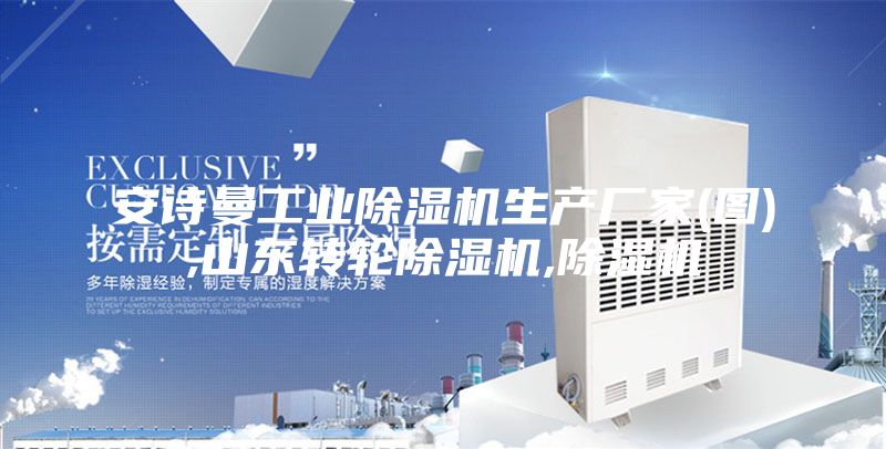 安詩(shī)曼工業(yè)除濕機(jī)生產(chǎn)廠家(圖),山東轉(zhuǎn)輪除濕機(jī),除濕機(jī)