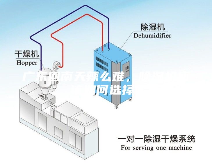 廣東回南天辣么難，除濕機應該如何選擇？