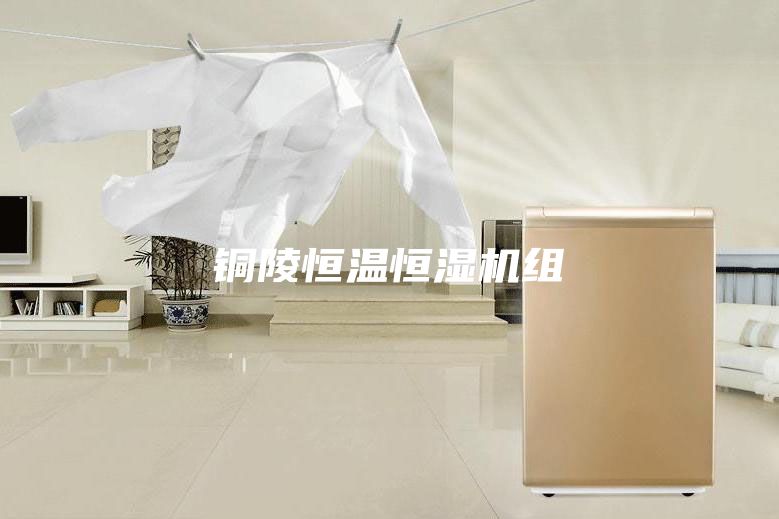 銅陵恒溫恒濕機組