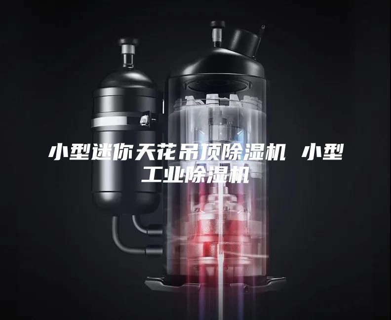 小型迷你天花吊頂除濕機 小型工業除濕機