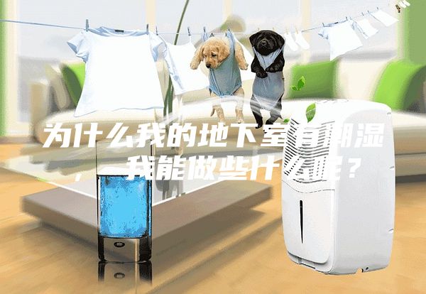 為什么我的地下室有潮濕， 我能做些什么呢？