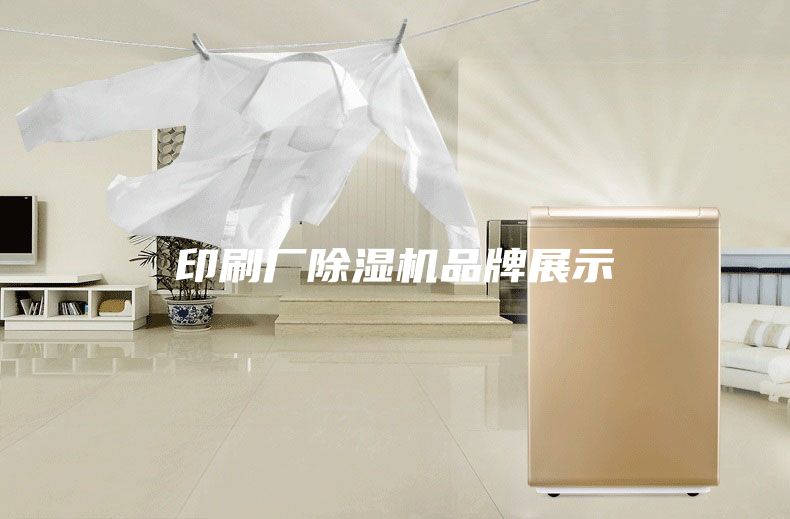 印刷廠除濕機品牌展示