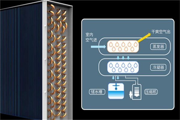 夏季使用家用除濕機優勢