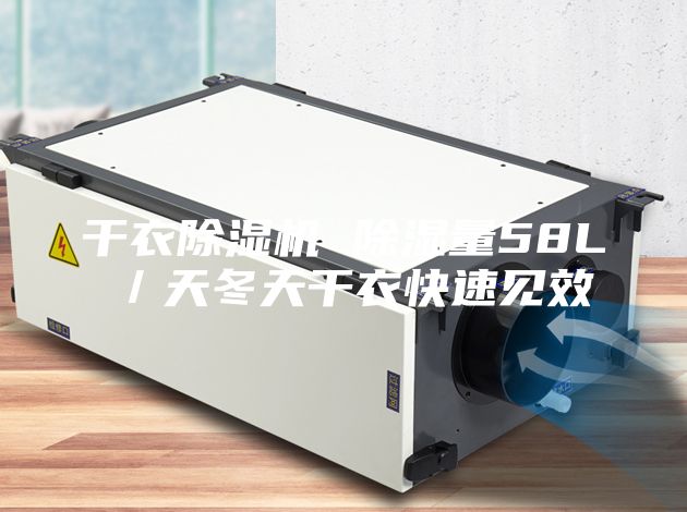 干衣除濕機 除濕量58L／天冬天干衣快速見效