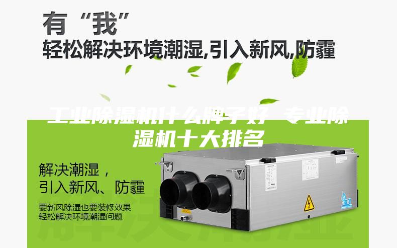工業除濕機什么牌子好 專業除濕機十大排名