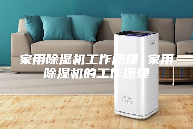 家用除濕機(jī)工作原理 家用除濕機(jī)的工作原理