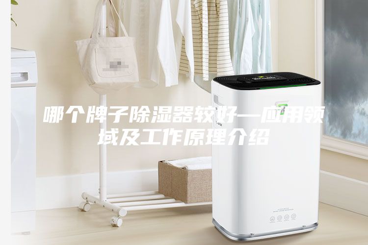 哪個牌子除濕器較好—應(yīng)用領(lǐng)域及工作原理介紹