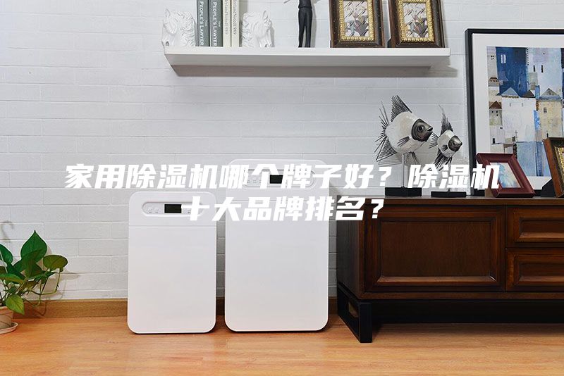 家用除濕機哪個牌子好？除濕機十大品牌排名？