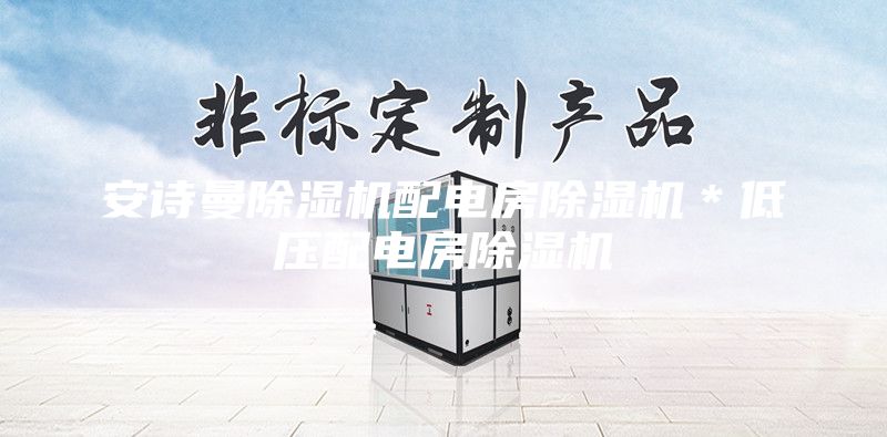 安詩曼除濕機配電房除濕機＊低壓配電房除濕機