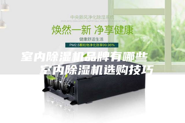 室內除濕機品牌有哪些   室內除濕機選購技巧