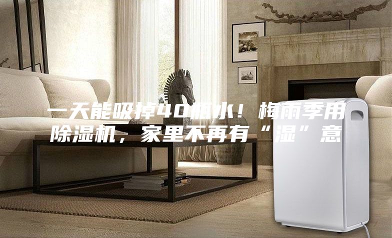 一天能吸掉40瓶水！梅雨季用除濕機，家里不再有“濕”意