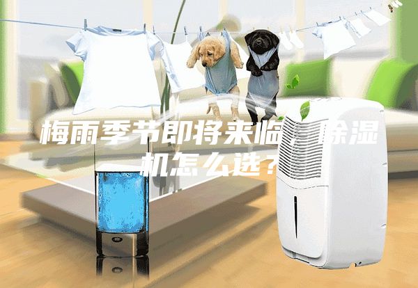 梅雨季節即將來臨，除濕機怎么選？