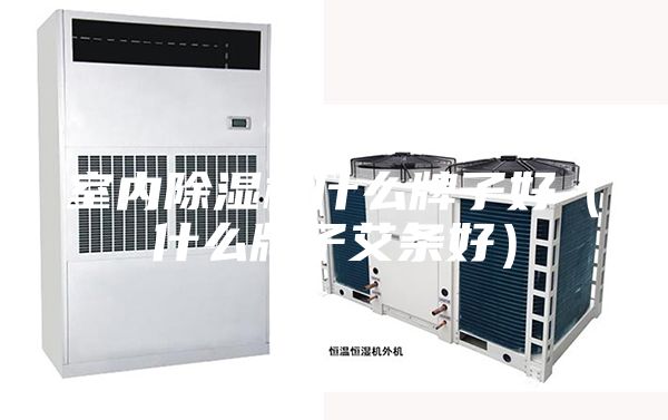 室內(nèi)除濕機(jī)什么牌子好（什么牌子艾條好）