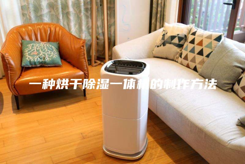 一種烘干除濕一體機的制作方法