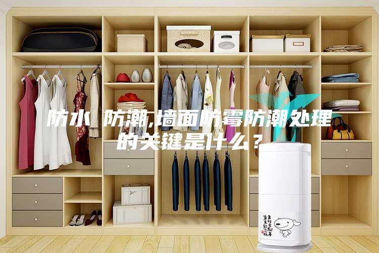 防水≠防潮,墻面防霉防潮處理的關鍵是什么？