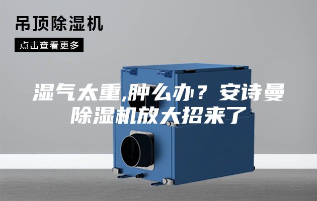 濕氣太重,腫么辦？安詩曼除濕機放大招來了