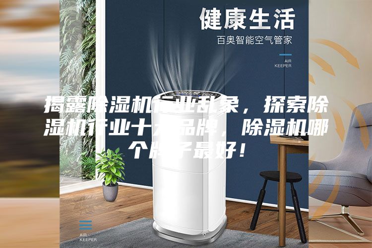揭露除濕機行業亂象，探索除濕機行業十大品牌，除濕機哪個牌子最好！