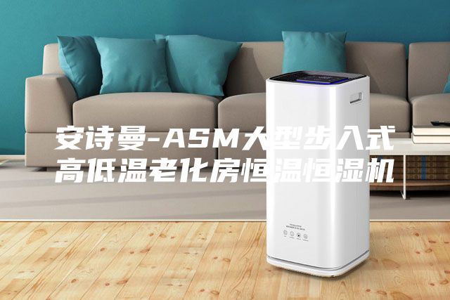 安詩(shī)曼-ASM大型步入式高低溫老化房恒溫恒濕機(jī)