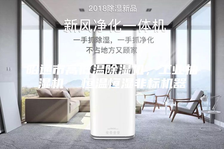昭通市高低溫除濕機(jī)，工業(yè)抽濕機(jī)  恒溫恒濕非標(biāo)機(jī)器