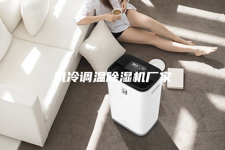 風冷調溫除濕機廠家