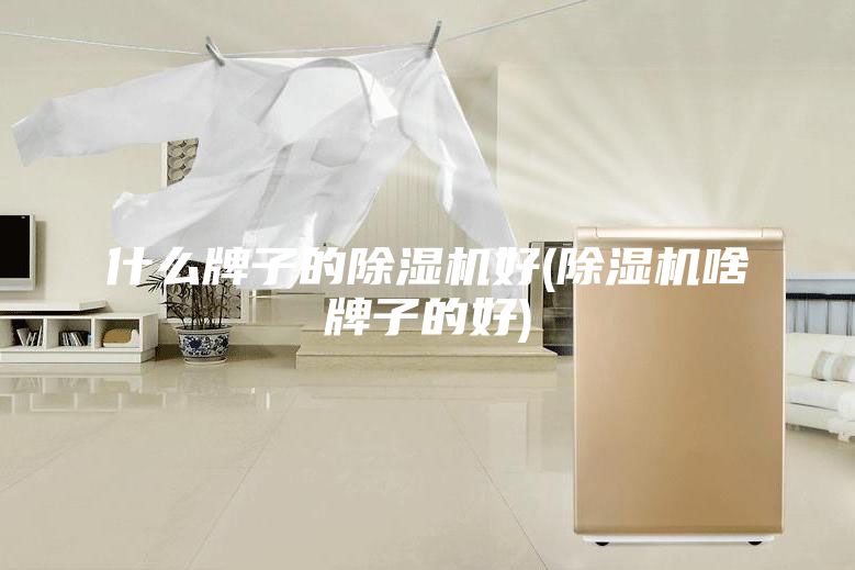 什么牌子的除濕機好(除濕機啥牌子的好)