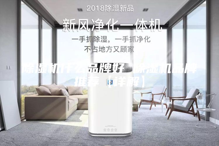 除濕機(jī)什么品牌好 除濕機(jī)品牌推薦【詳解】