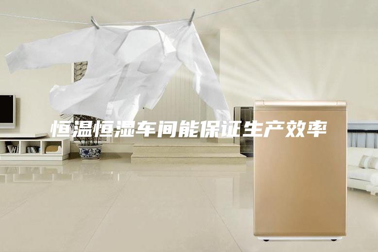 恒溫恒濕車間能保證生產(chǎn)效率