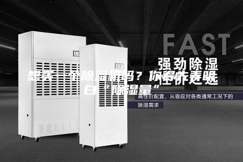 想買一個除濕機嗎？你得先弄明白“除濕量”
