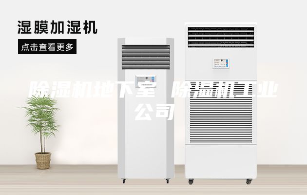 除濕機地下室 除濕機工業(yè)公司