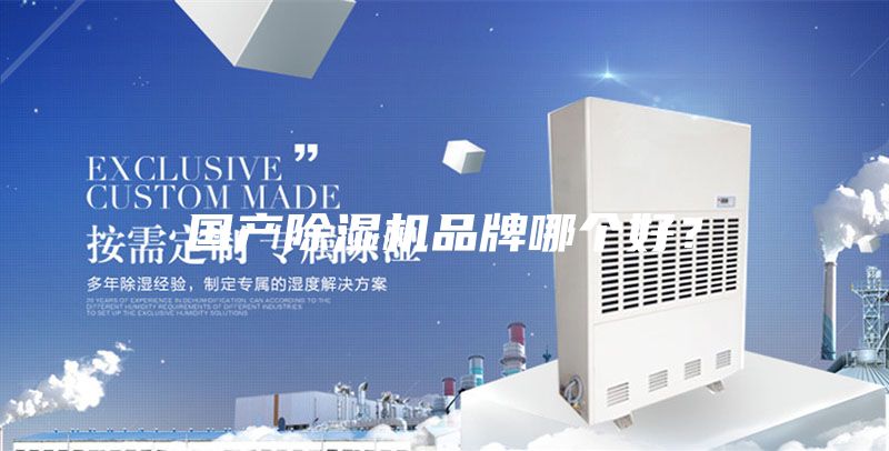 國產除濕機品牌哪個好？