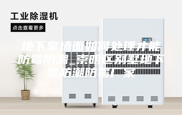 地下室墻面如何處理才能防霉防潮_崇明區(qū)別墅地下室防潮防霉廠家