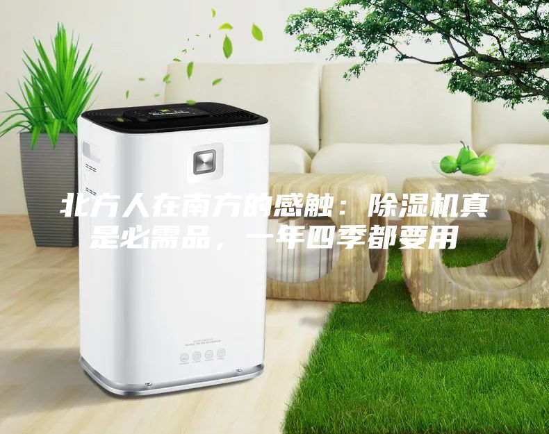 北方人在南方的感觸：除濕機真是必需品，一年四季都要用