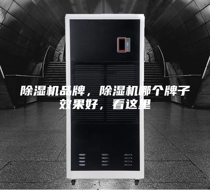 除濕機(jī)品牌，除濕機(jī)哪個牌子效果好，看這里