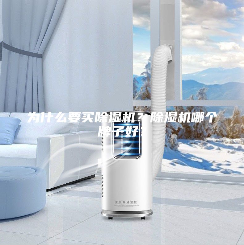 為什么要買除濕機？除濕機哪個牌子好？