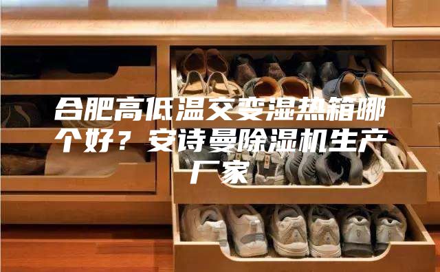合肥高低溫交變濕熱箱哪個(gè)好？安詩(shī)曼除濕機(jī)生產(chǎn)廠(chǎng)家