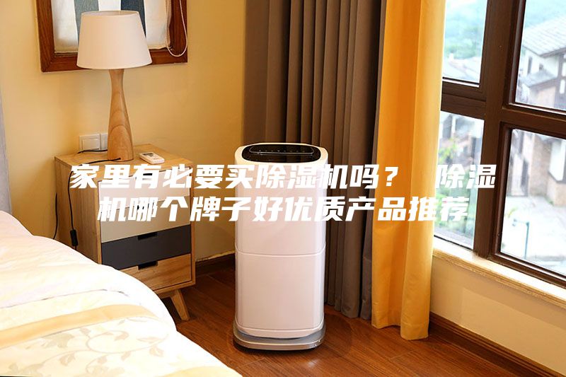 家里有必要買除濕機(jī)嗎？ 除濕機(jī)哪個(gè)牌子好優(yōu)質(zhì)產(chǎn)品推薦