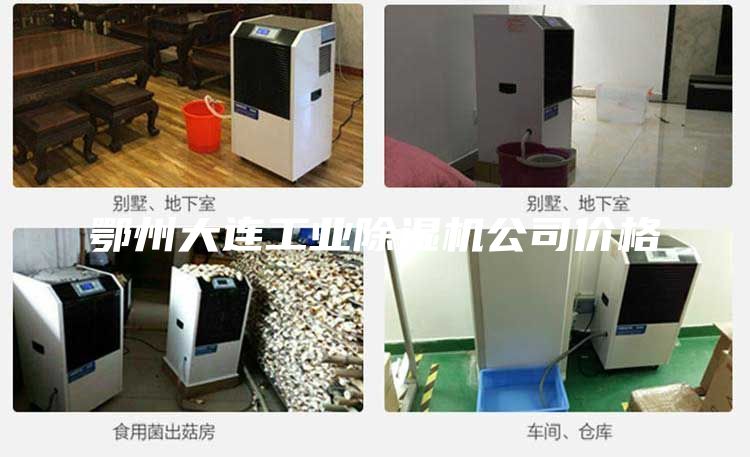鄂州大連工業除濕機公司價格