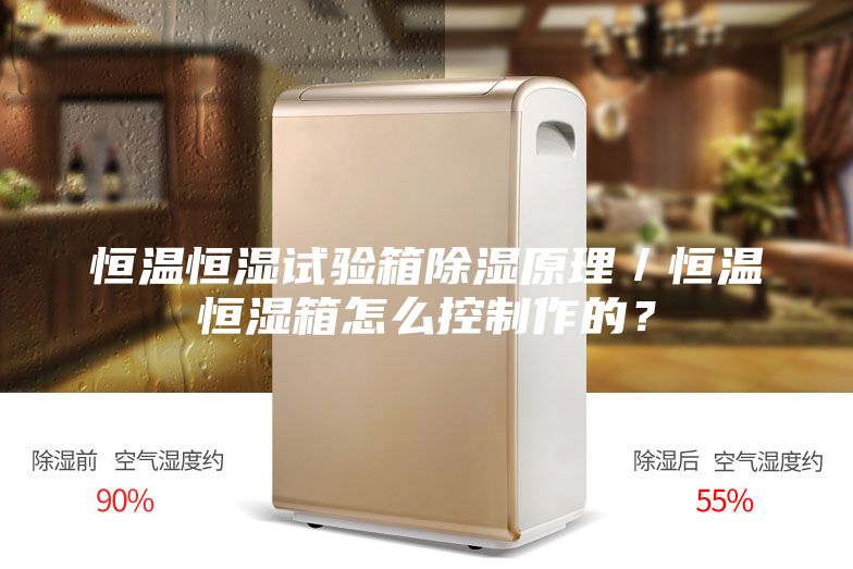恒溫恒濕試驗箱除濕原理／恒溫恒濕箱怎么控制作的？